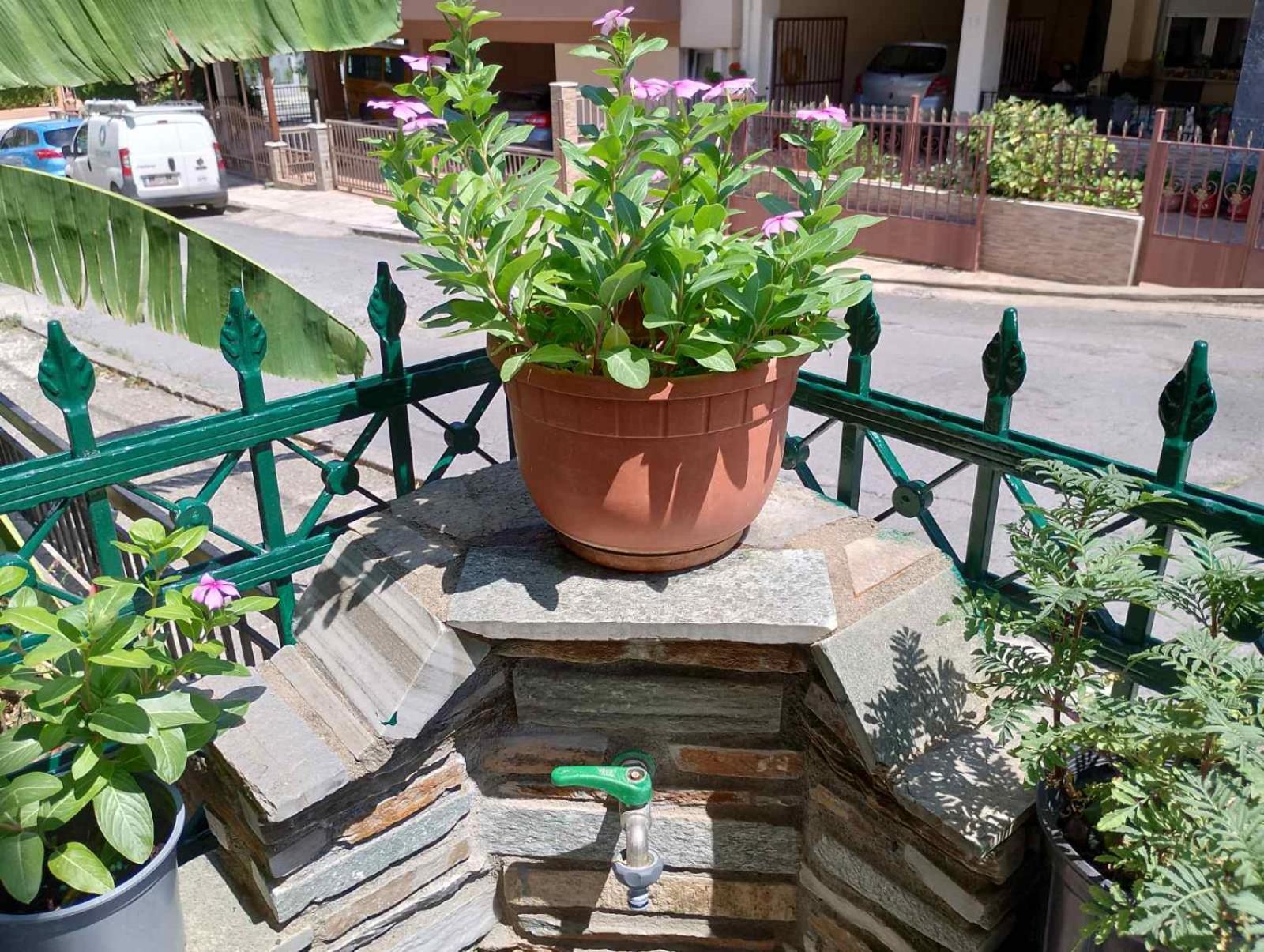 Stone House - Bike Friendly Home Edessa Exterior photo